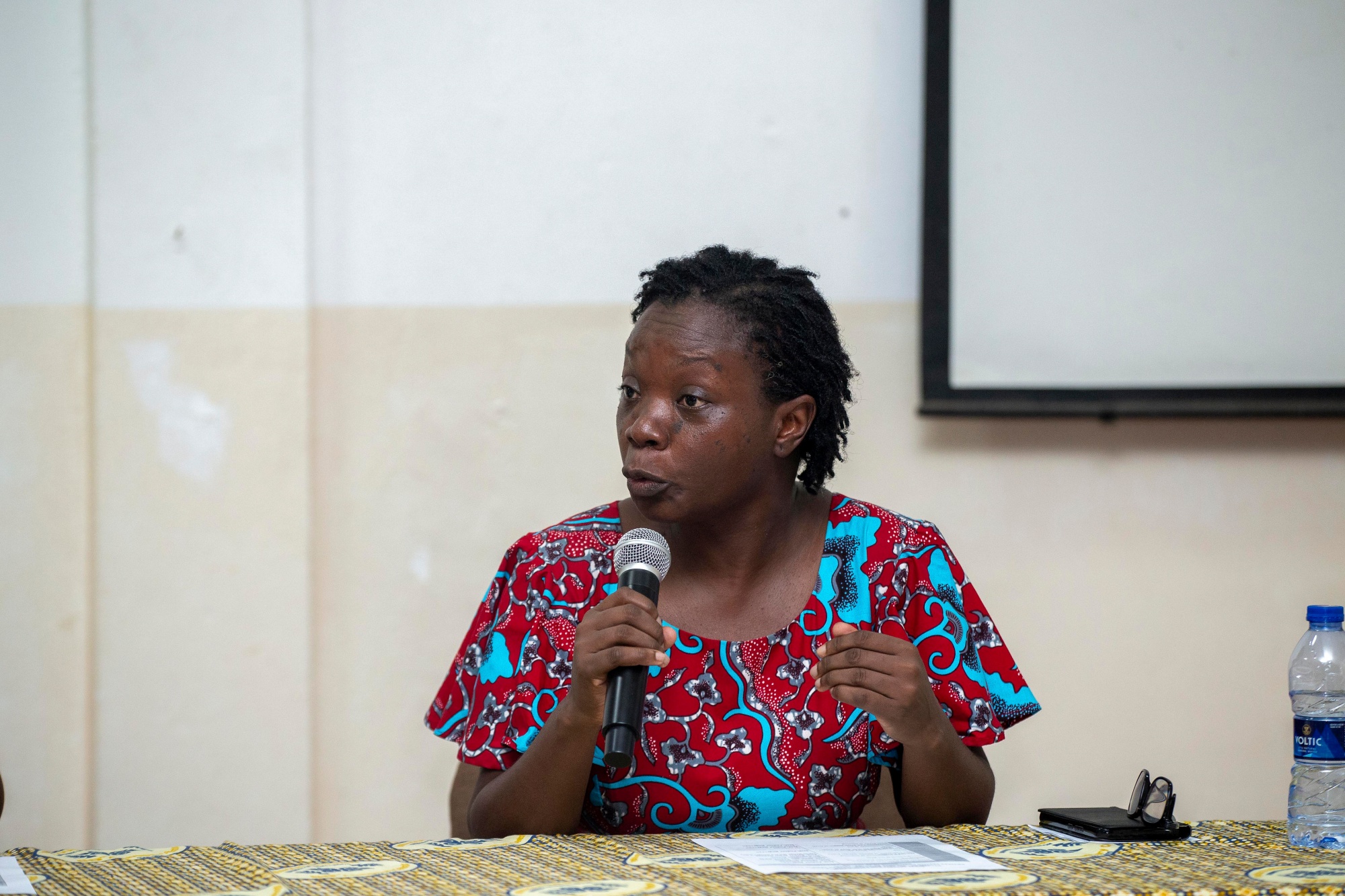 Professor Akosua Darkwah, Dean of the School of Information and Communication Studies, 